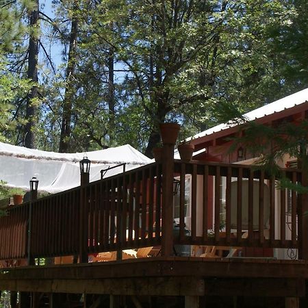 The Red Rooster Lodge Coulterville Exteriör bild