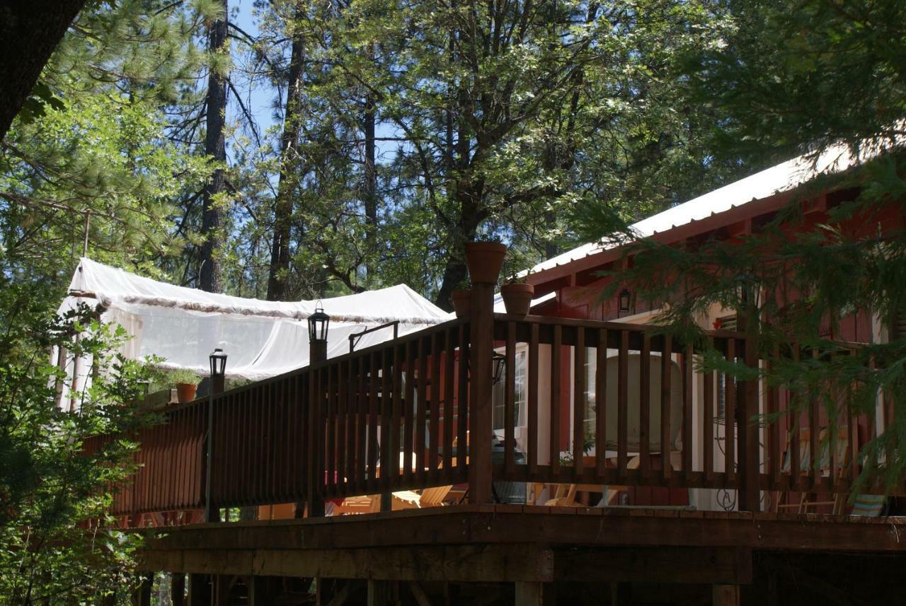 The Red Rooster Lodge Coulterville Exteriör bild